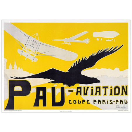 Pau Aviation